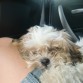 de camino a velencia